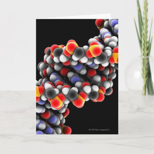 DNS-Molekül. Molekulares Modell von DNS Karte