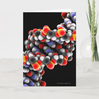 DNS-Molekül. Molekulares Modell von DNS Karte