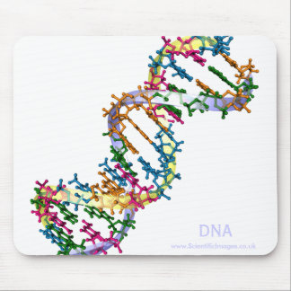 DNS MOUSEPAD