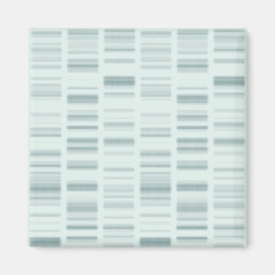 DNS-Profile: Genetische Anweisungen, die das Leben Magnet