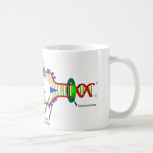 DNS-Reproduktion Kaffeetasse