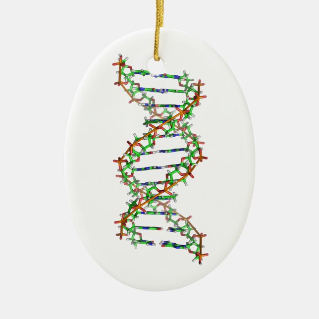 DNS - Wissenschaft/Wissenschaftler/Biologie Keramik Ornament (Vorne)