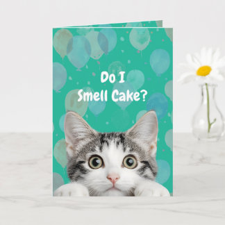 Do I Smell Cake Cute kitten Birthday Card Karte