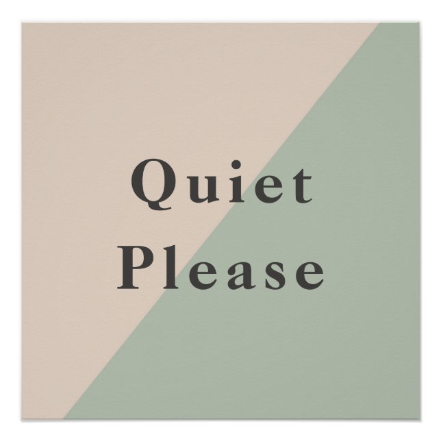 Do Not Disturb Quiet Space Productivity Poster (Vorderseite)