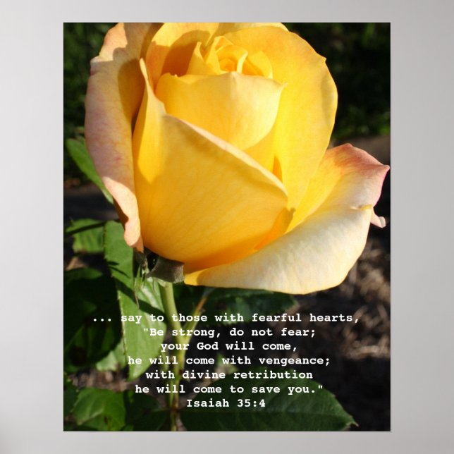 Do not fear inspirational bible verse poster (Vorne)