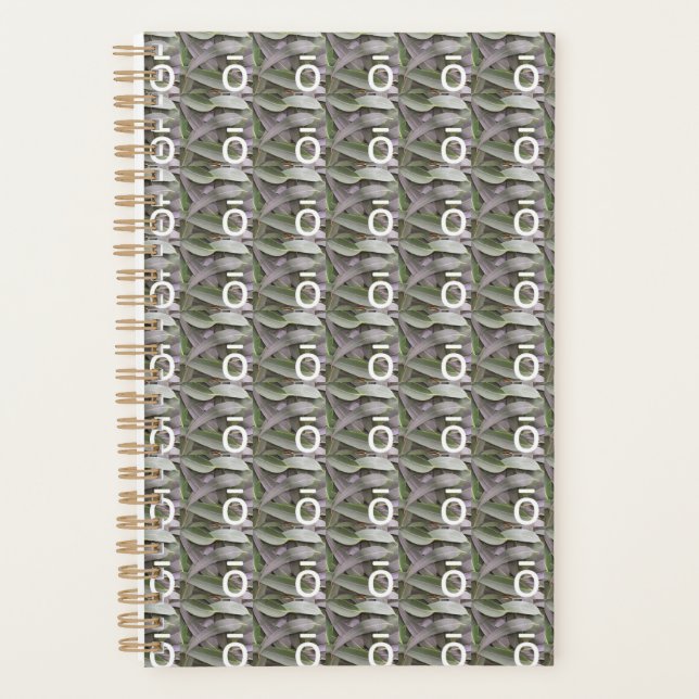 dō TERRA Ō Eukalyptus Planner Planer (Vorderseite)