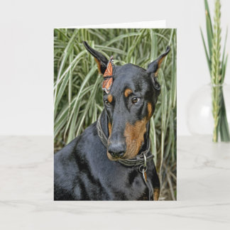 Doberman Butterfly Überraschung Karte