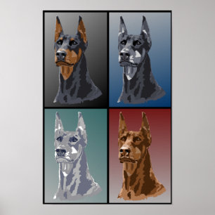 Doberman Colors Poster