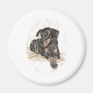 Doberman Dog Natural Oars Magnet