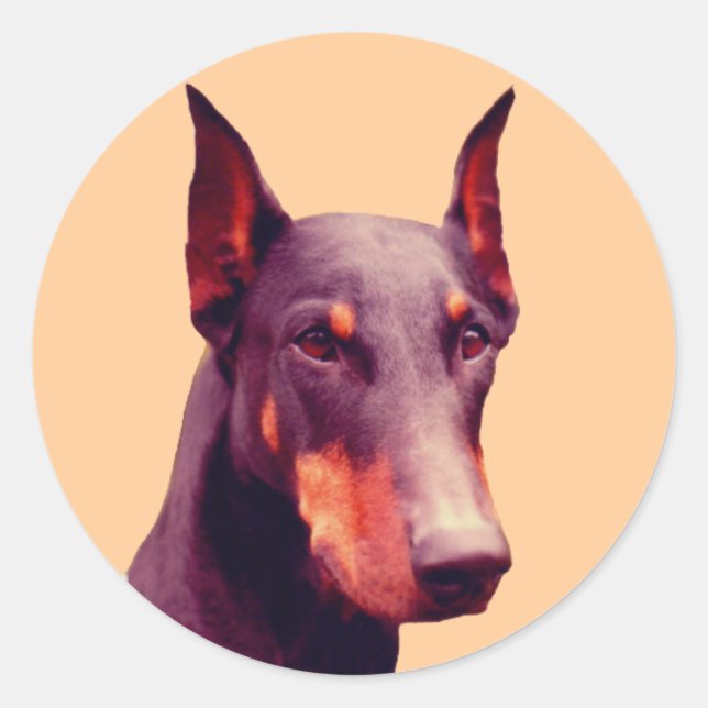 Doberman Face Dog Runder Aufkleber (Vorderseite)