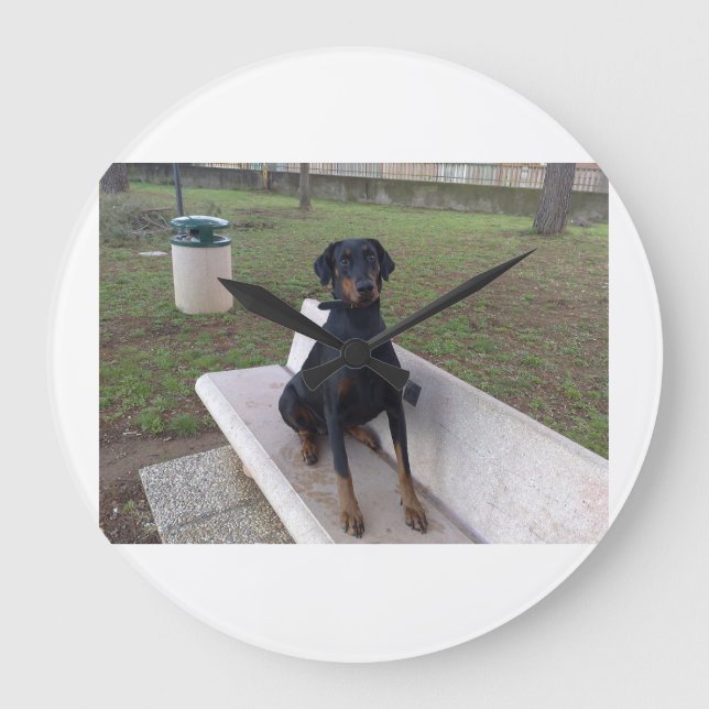 Doberman-Flipper Große Wanduhr (Vorderseite)
