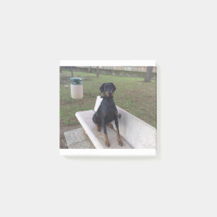 Doberman Flipper Post-it Klebezettel