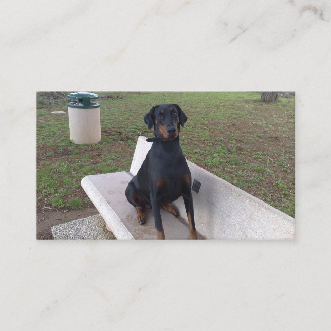 Doberman Flipper Visitenkarte (Vorderseite)