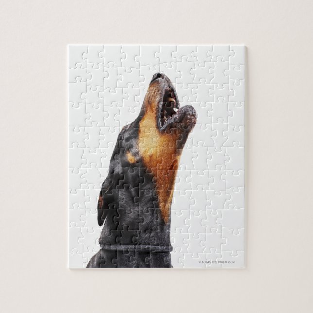 Doberman hewling (Vertikal)
