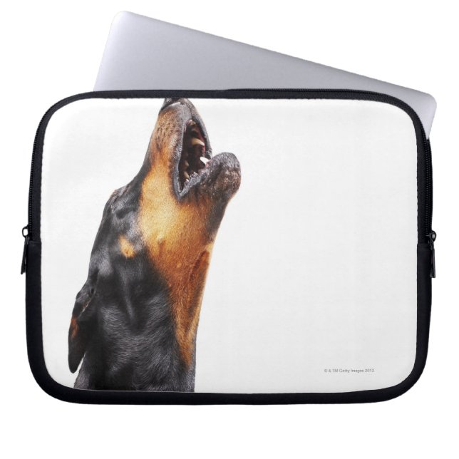 Doberman hewling laptopschutzhülle (Vorderseite)