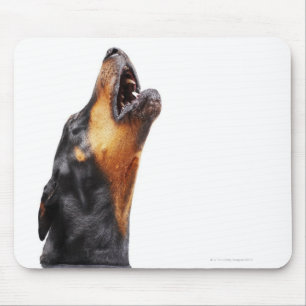Doberman hewling, nah mousepad