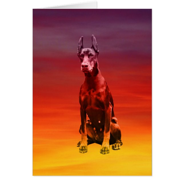 Doberman Hund sitzt am Strand (Vorne)