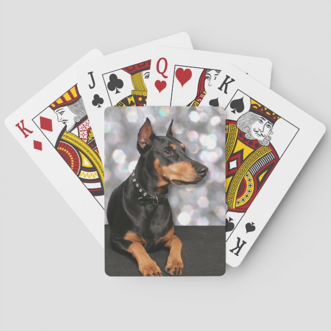 Doberman - Megyan Spielkarten (Rückseite)
