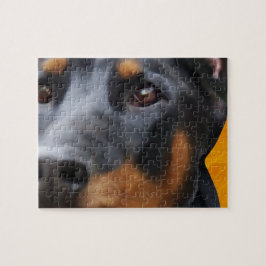 Doberman Nah Up
