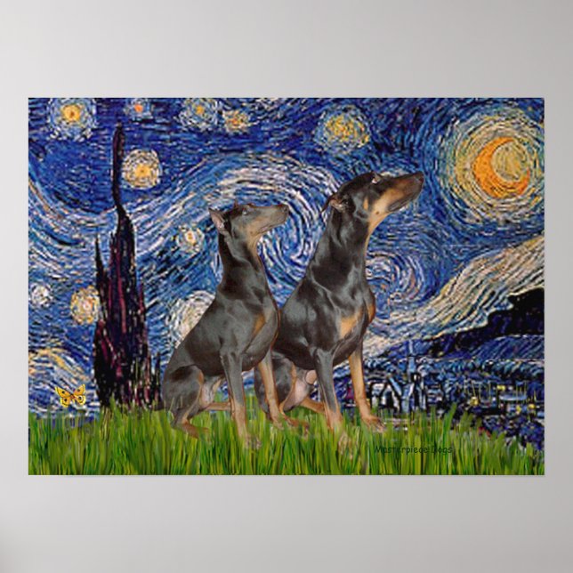 Doberman Pair - Starry Night Poster (Vorne)