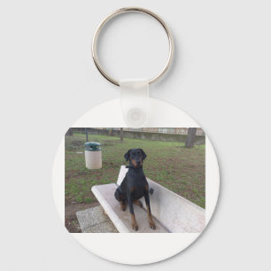 Doberman pincher sitzend.png schlüsselanhänger