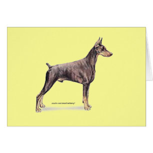 Doberman Pinscher