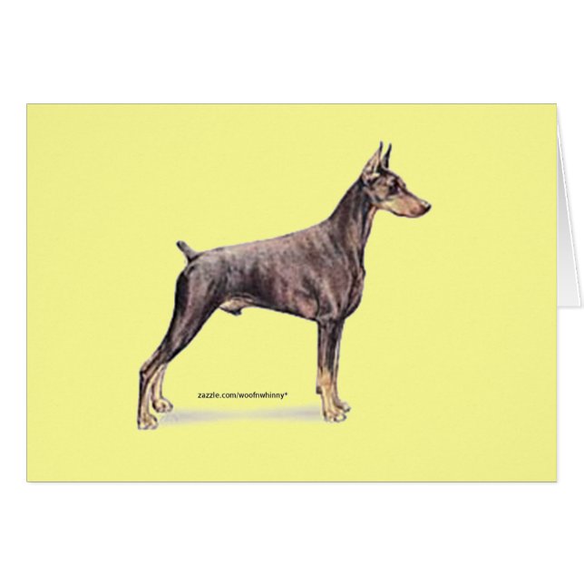 Doberman Pinscher (Vorderseite (Horizontal))