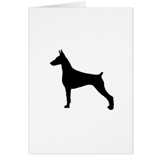 Doberman Pinscher (Vorne)