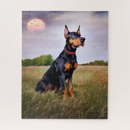 Doberman Pinscher