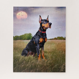 Doberman Pinscher