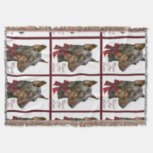 Doberman Pinscher Christmas Decke