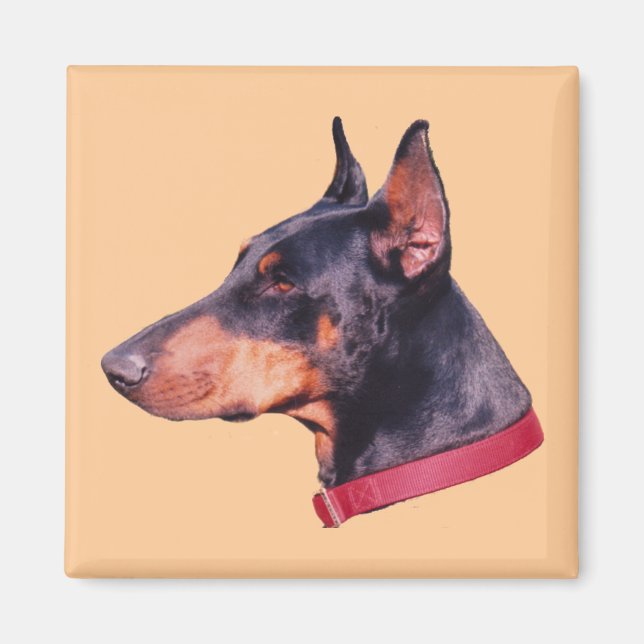 Doberman Pinscher Dog Magnet (Vorne)