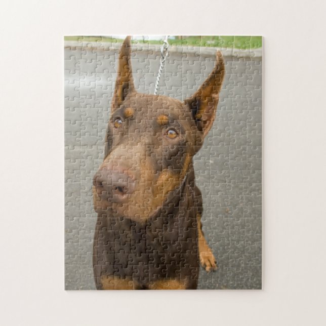 Doberman Pinscher Foto Jigsaw Puzzle (Vertikal)