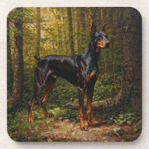 Doberman Pinscher