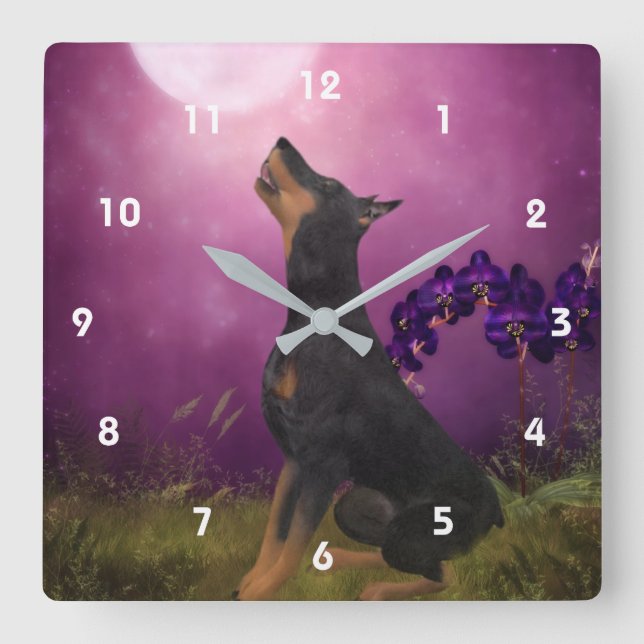 Doberman Pinscher im Blick auf den Mond Quadratische Wanduhr (Vorderseite)