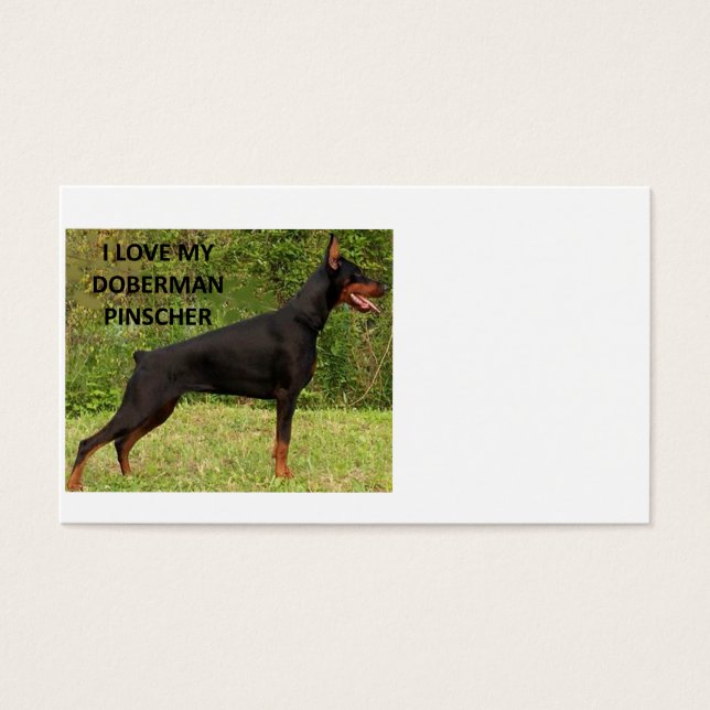 Doberman pinscher Liebe w pic.png (Vorderseite)