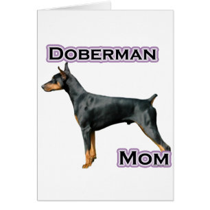 Doberman Pinscher Maman 4