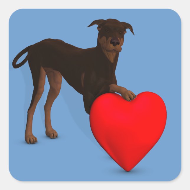 Doberman Pinscher mit Herz Quadratischer Aufkleber (Vorderseite)