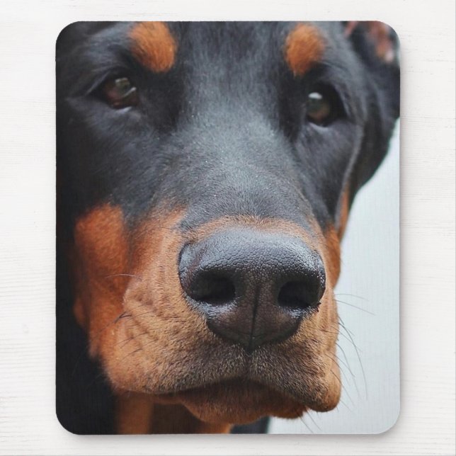 Doberman Pinscher Mousepad (Vorne)