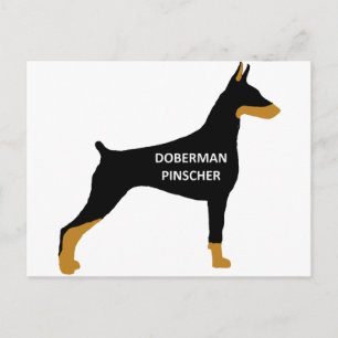Doberman Pinscher Name Farbe Silo schwarz Postkarte