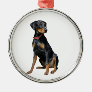 Doberman Pinscher (natürlich) Silbernes Ornament