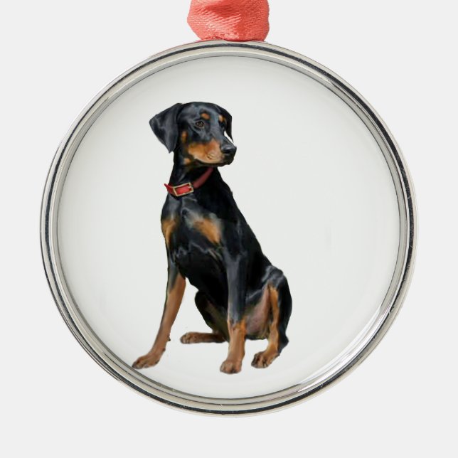 Doberman Pinscher (natürlich) Silbernes Ornament (Vorne)