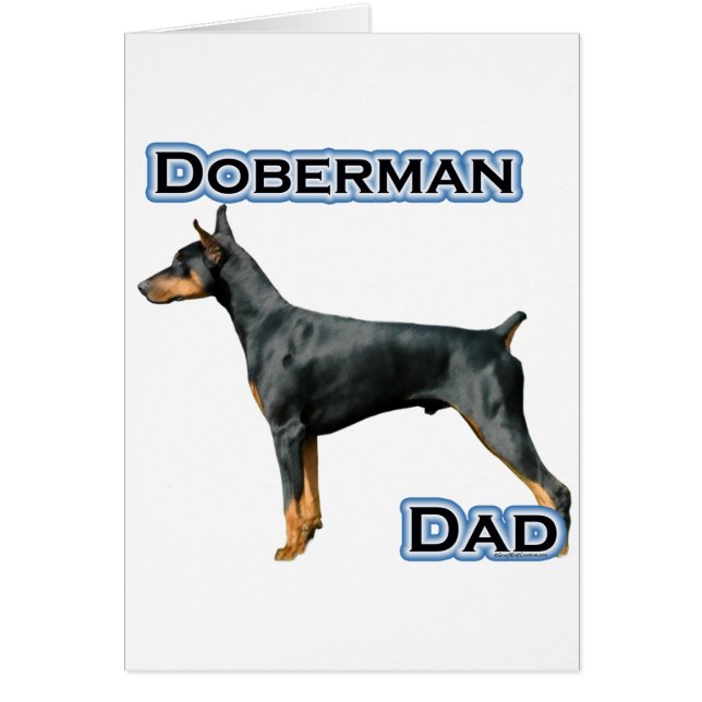 Doberman Pinscher Papa 4 (Devant)