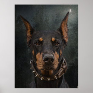 Doberman Pinscher Poster