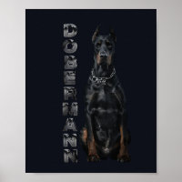 Doberman Pinscher
