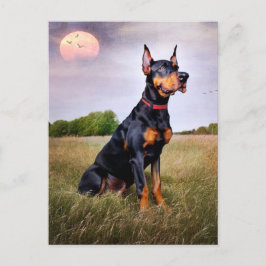Doberman Pinscher Postkarte