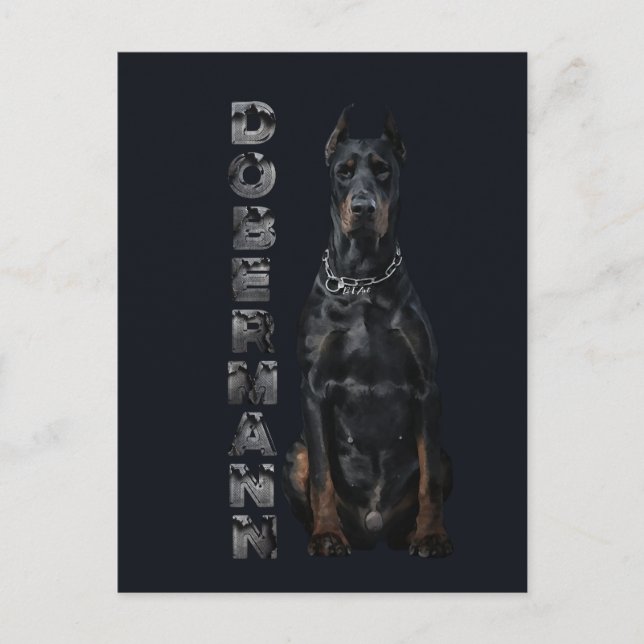 Doberman Pinscher Postkarte (Vorderseite)