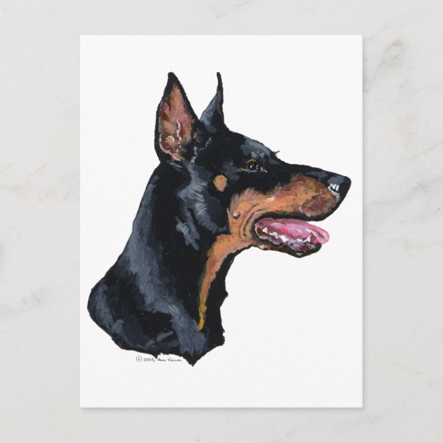 Doberman Pinscher Profil Postkarte (Vorderseite)