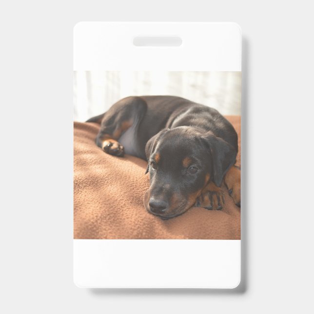 Doberman-pinscher-Puppy Ausweis (Vorderseite)