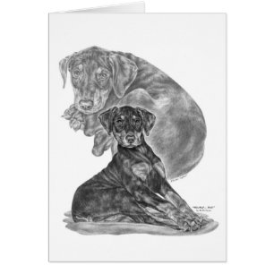 Doberman Pinscher Puppy Dessin de Kelli Swan